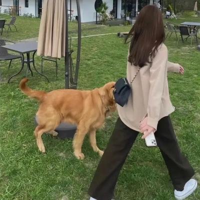 铁甲钢拳